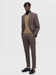 model_shot-creative