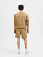 model_shot-back